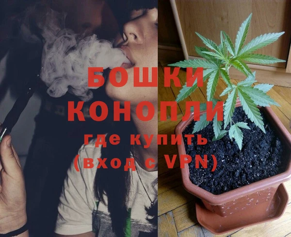 дживик Бородино