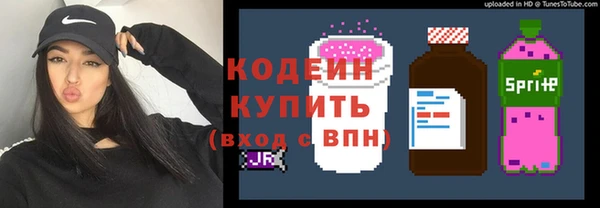 прущие грибы Верхний Тагил