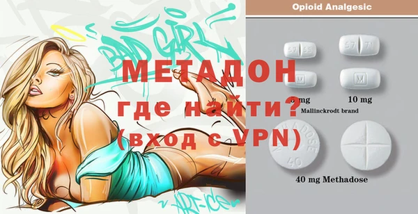 прущие грибы Верхний Тагил