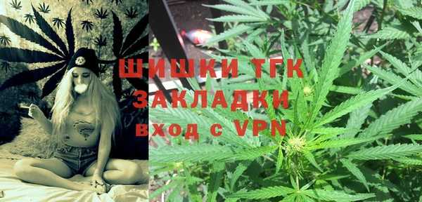 дживик Бородино