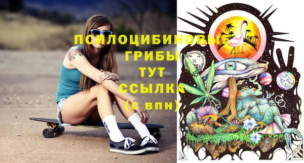 дживик Бородино